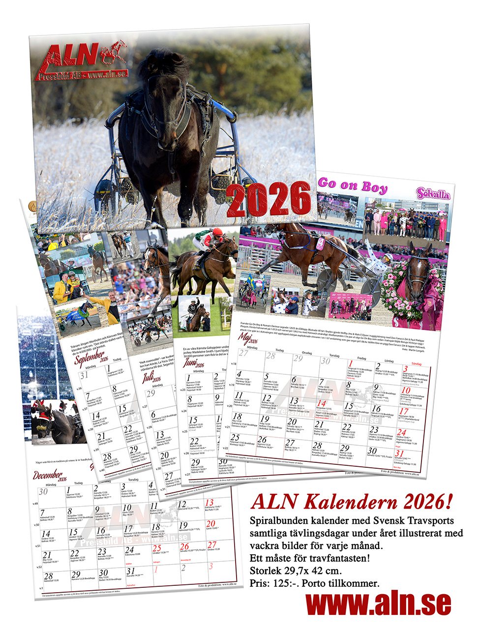 ALN Kalender